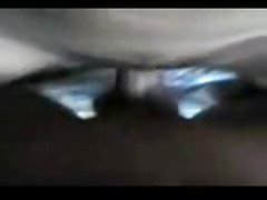 تراشیده گربه آلمانی گربه چارلیز انگل فاک و تقدیر بلعیده شده است
